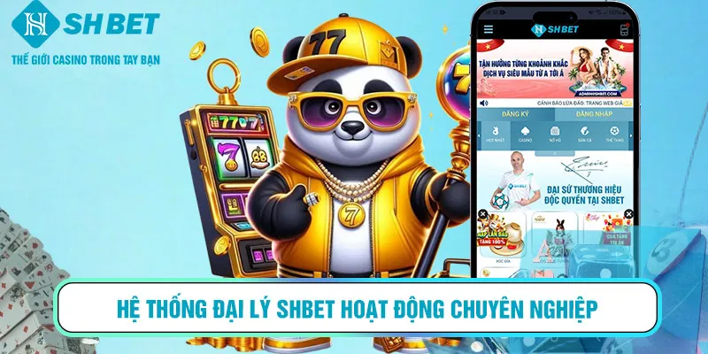 Hệ thống đại lý SHBET hoạt động chuyên nghiệp